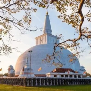 7 days buddhist pilgrimage tour pacakge from india