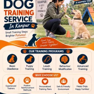 Dog training service in kanpur