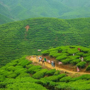Darjeeling hill escape tour package 3 nights 4 days