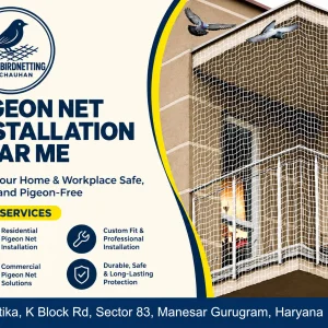 Easy pigeon net installation in gurugram
