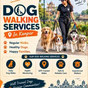Dog walking services in kanpur