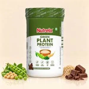 Best protein powder in india top picks ingredients how to c