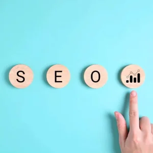 Grow organically with seo services across india