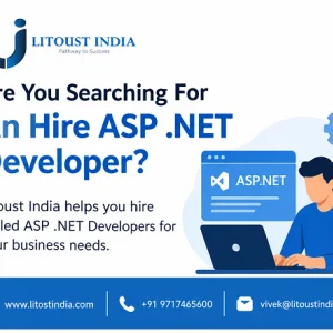 Are you searching for an hire asp net developer for your busine