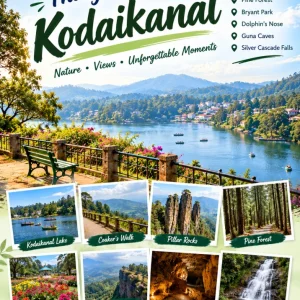 Top things to see in kodaikanal 91 9090484850