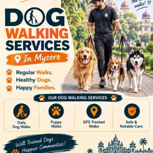 Dog walking services in mysore