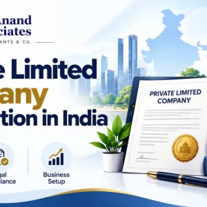 Professional company registration support for startups