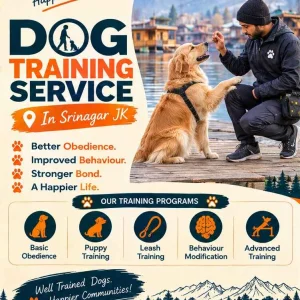 Dog training service in srinagar jk