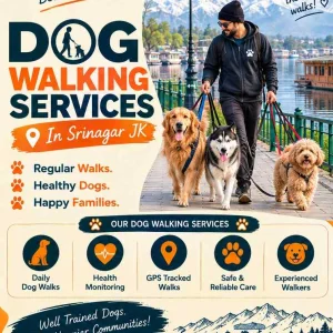 Dog walking services in srinagar jk