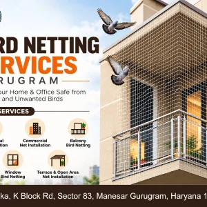 Professional bird netting services in gurugram