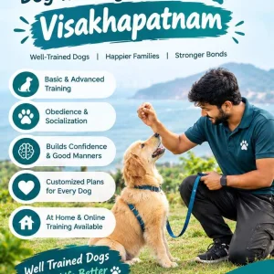 Dog training service in visakhapatnam