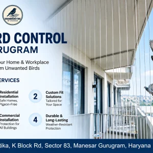 Trusted bird control in gurugram