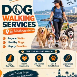 Dog walking services in visakhapatnam