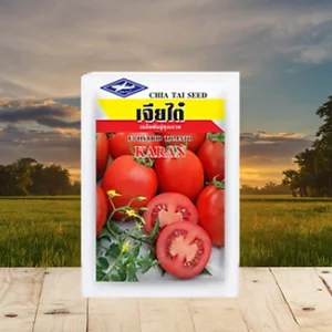 F1 hybrid tomato seeds hindustan seeds