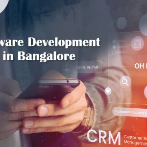 Sofware services in bangalore