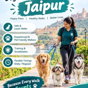 Dog walking services in jaipur