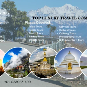 Luxury kerala tour package explore kerala