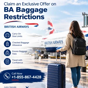 Ba baggage restrictions