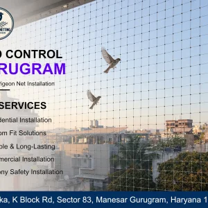Affordable bird control in gurugram