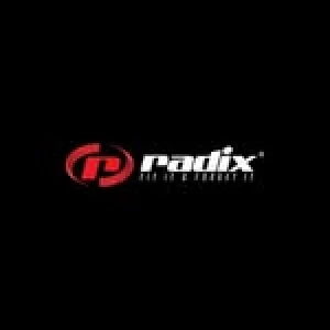 Radix power solutions private limited