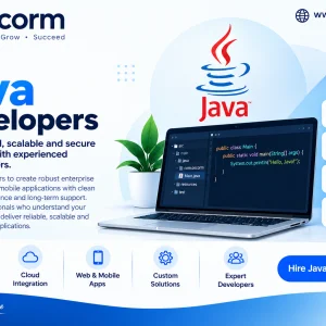 Hire java developers