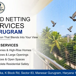 Premium bird netting services in gurugram