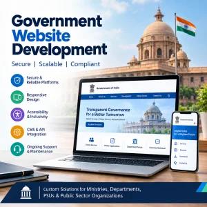 Government website accessibility services