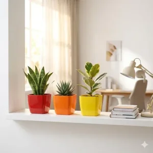 Buy pots for indoor plants online