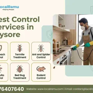 Professional pest control service in mysore by localramu