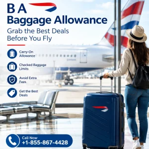 Baggagepolicy