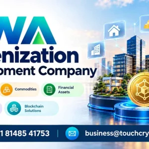 Custom rwa tokenization solutions for diverse asset categories