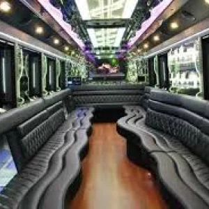 Brooklyn tourism party bus