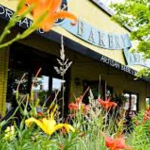 Vegan cafe minneapolis