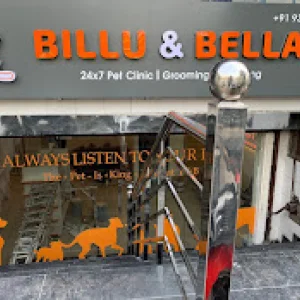 Billu and bella vet doctor in dwarka