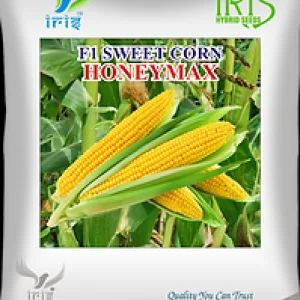 Iris sweetcorn honeymax seeds iris seeds