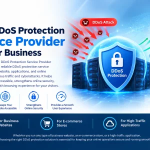 Best ddos protection service provider for your business