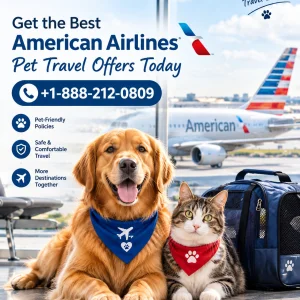 American airlines pet policy