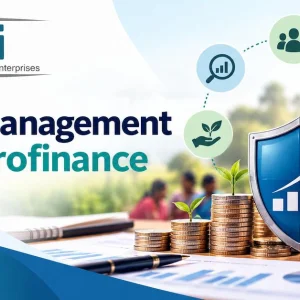 Credit risk assessment and portfolio risk management in microfin