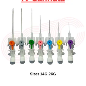 High quality iv cannula exporter from india