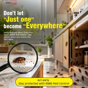 Home pest control services nagpur rsms