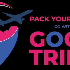 Plan your trip to india with gogo trips