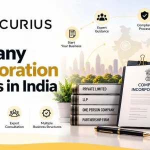 Professional company formation and registration assistance