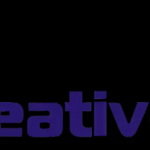 Website mangement services