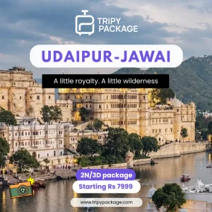 Explore the best of udaipur jawai