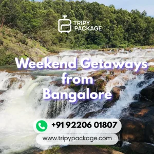 South india tour packages from bangalore discover more with tr