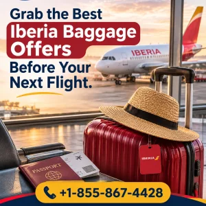 Iberia airlines baggage policy